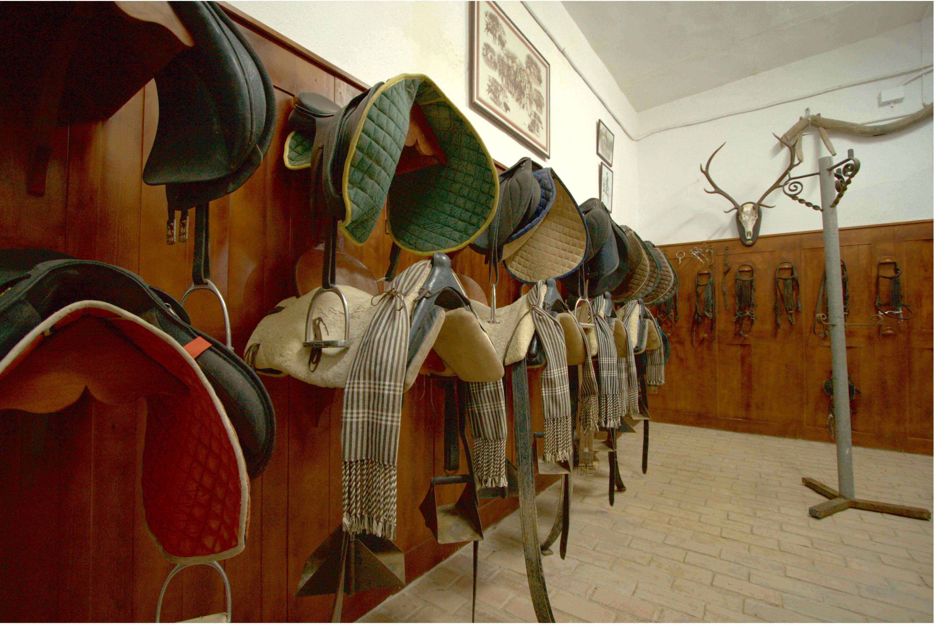 EXCEPTIONAL ANDALUSIAN ESTATE NEAR SEVILLA — photo 17 of 20