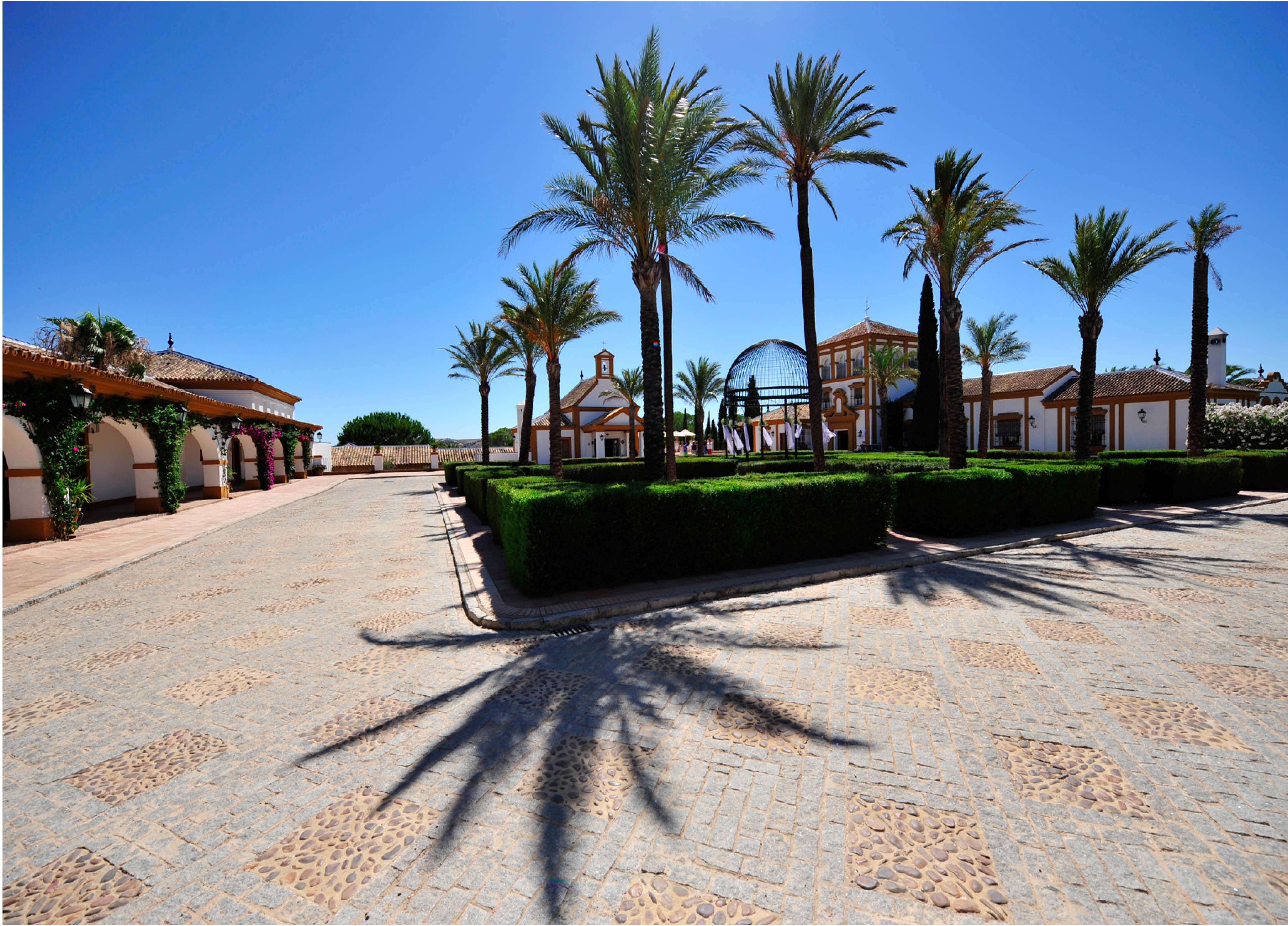 EXCEPTIONAL ANDALUSIAN ESTATE NEAR SEVILLA — photo 4 of 20