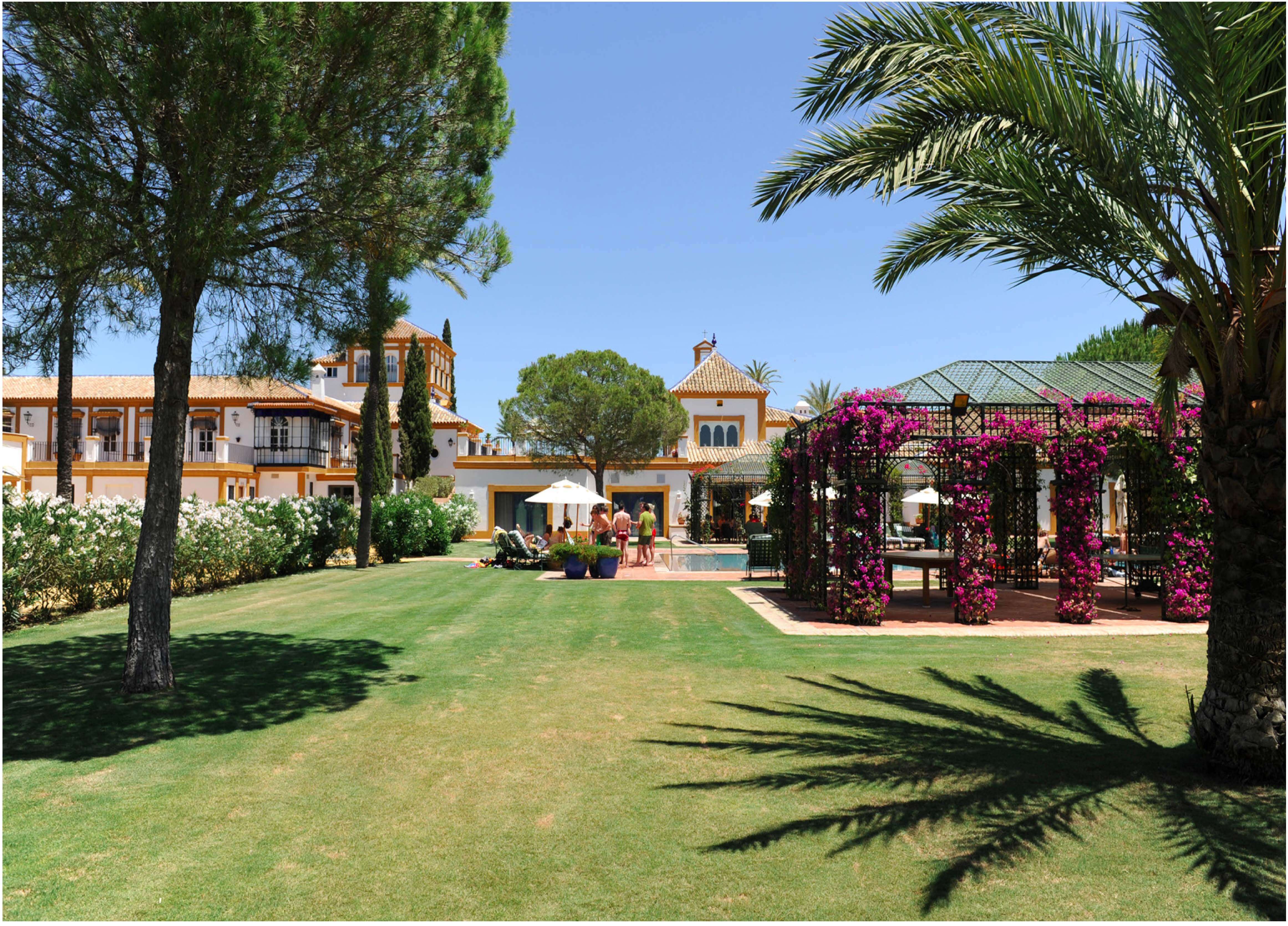 EXCEPTIONAL ANDALUSIAN ESTATE NEAR SEVILLA — photo 3 of 20