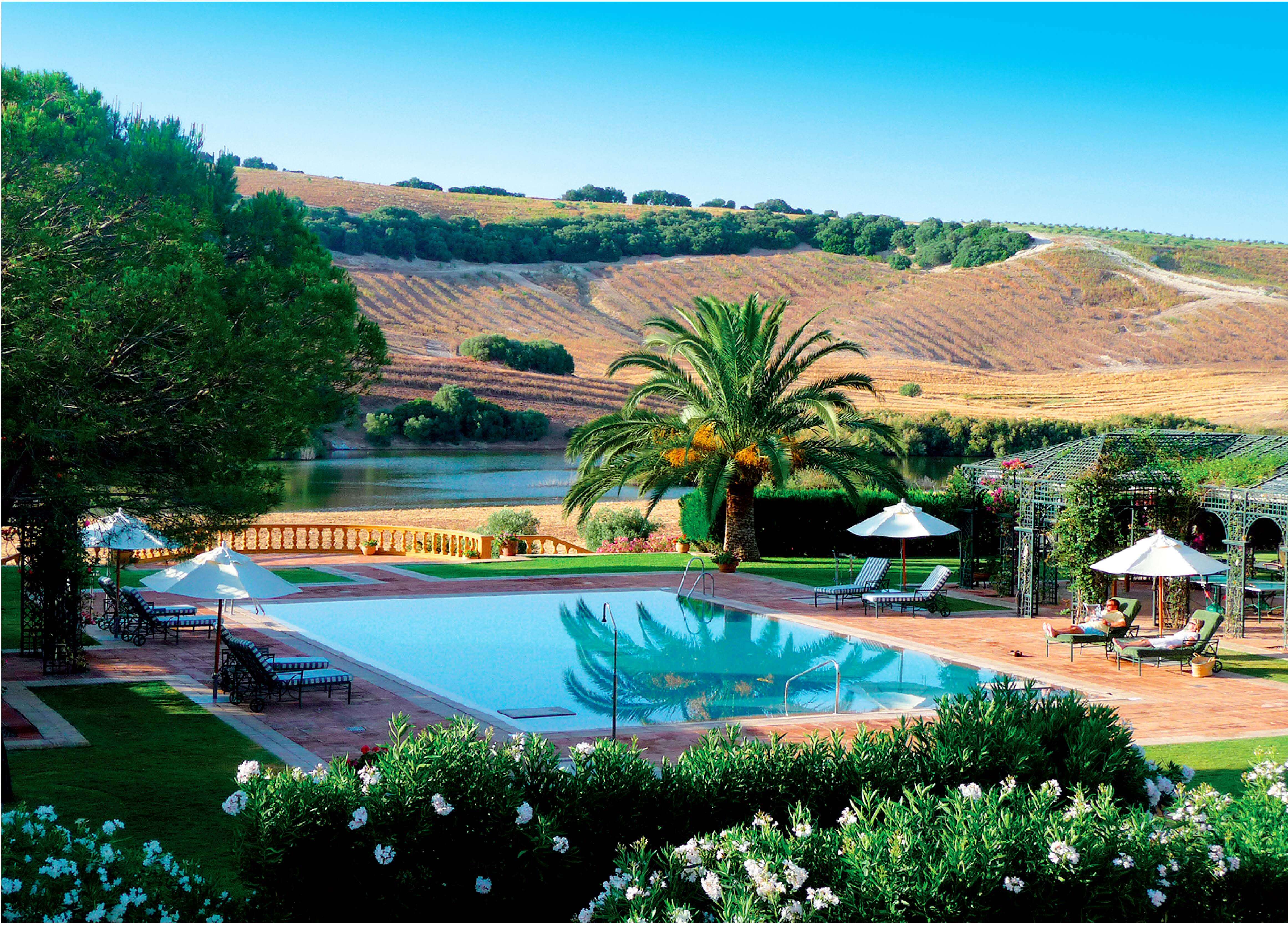 EXCEPTIONAL ANDALUSIAN ESTATE NEAR SEVILLA — photo 19 of 20