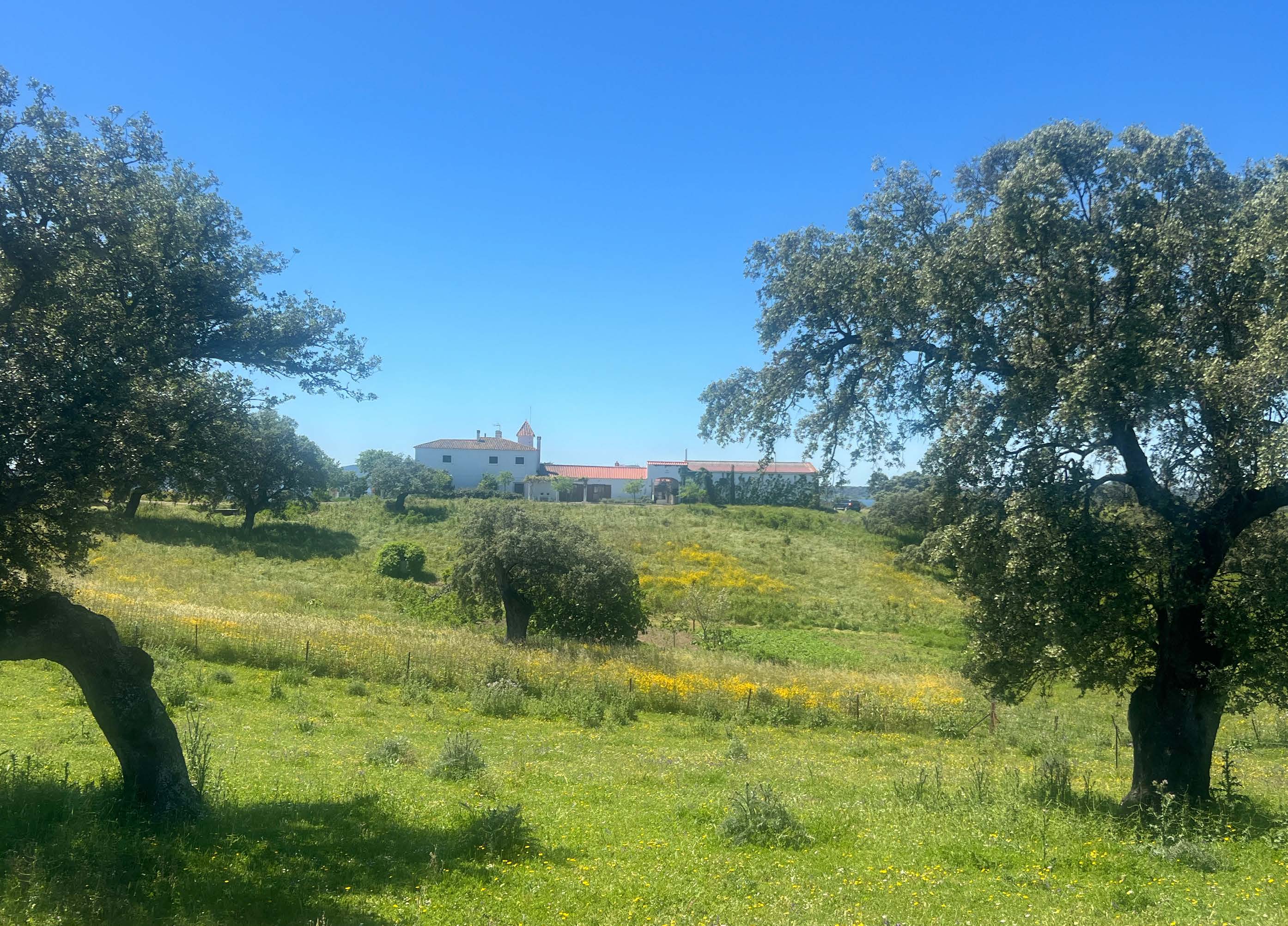 Jewels of Alqueva: Spectacular Estate with Direct Access to the Reservoir — photo 2 of 29