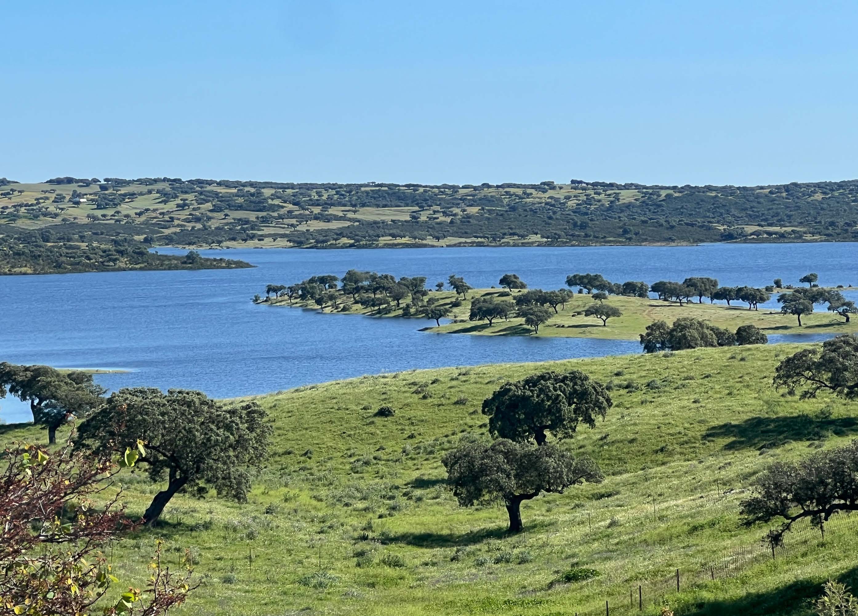 Jewels of Alqueva: Spectacular Estate with Direct Access to the Reservoir — photo 24 of 29