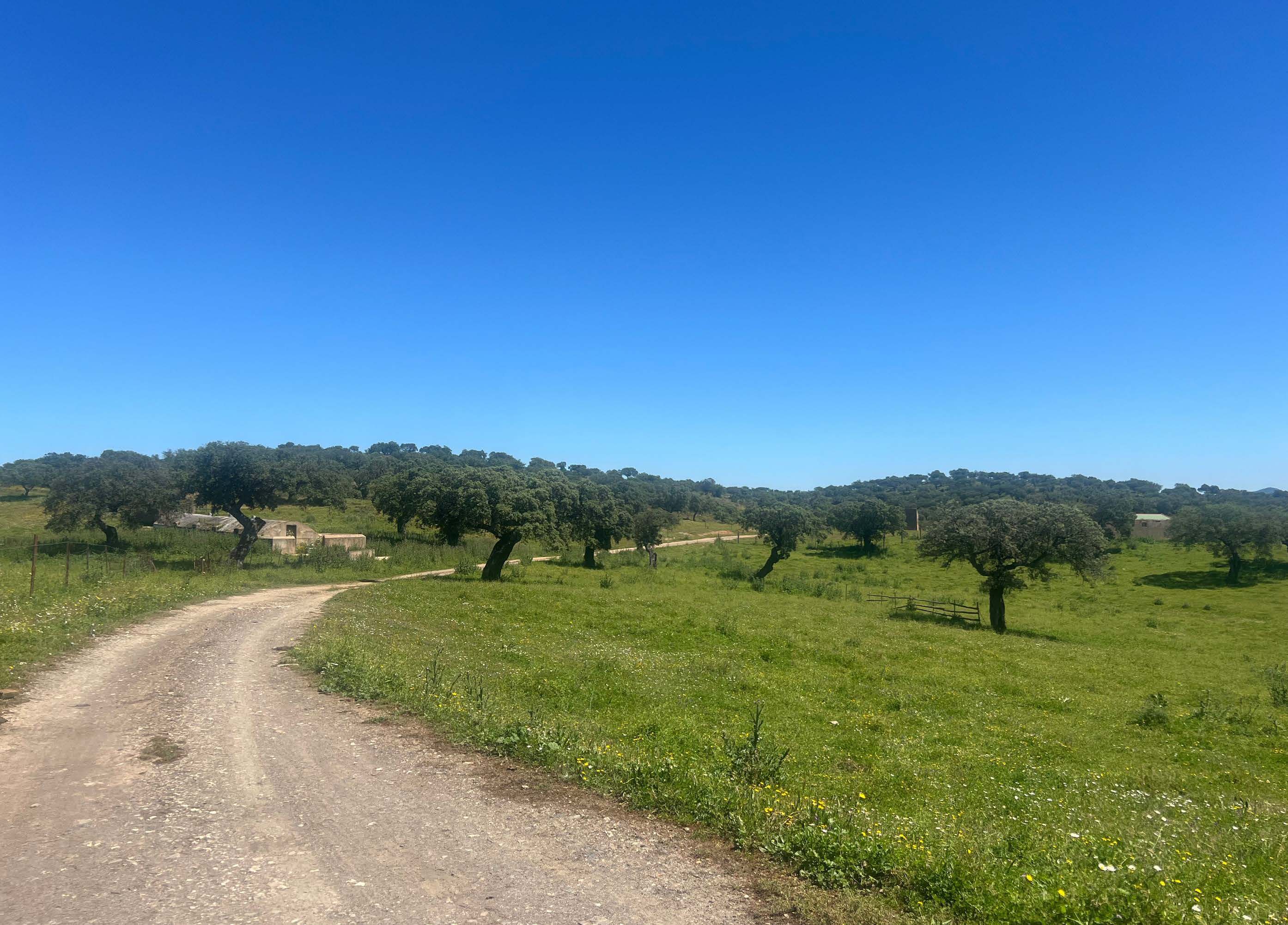 Jewels of Alqueva: Spectacular Estate with Direct Access to the Reservoir — Finca in Olivenza, Badajoz