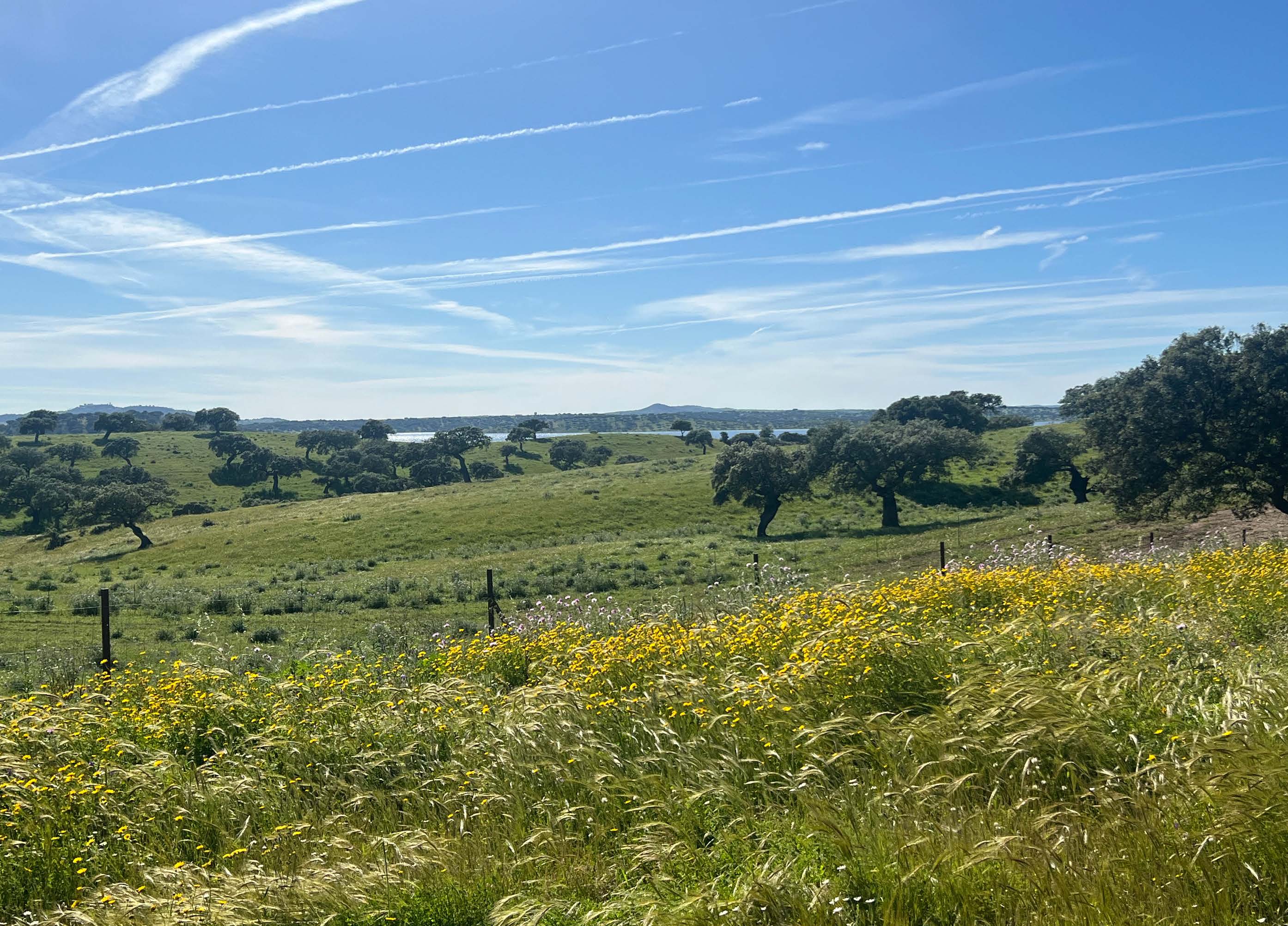 Jewels of Alqueva: Spectacular Estate with Direct Access to the Reservoir — photo 27 of 29