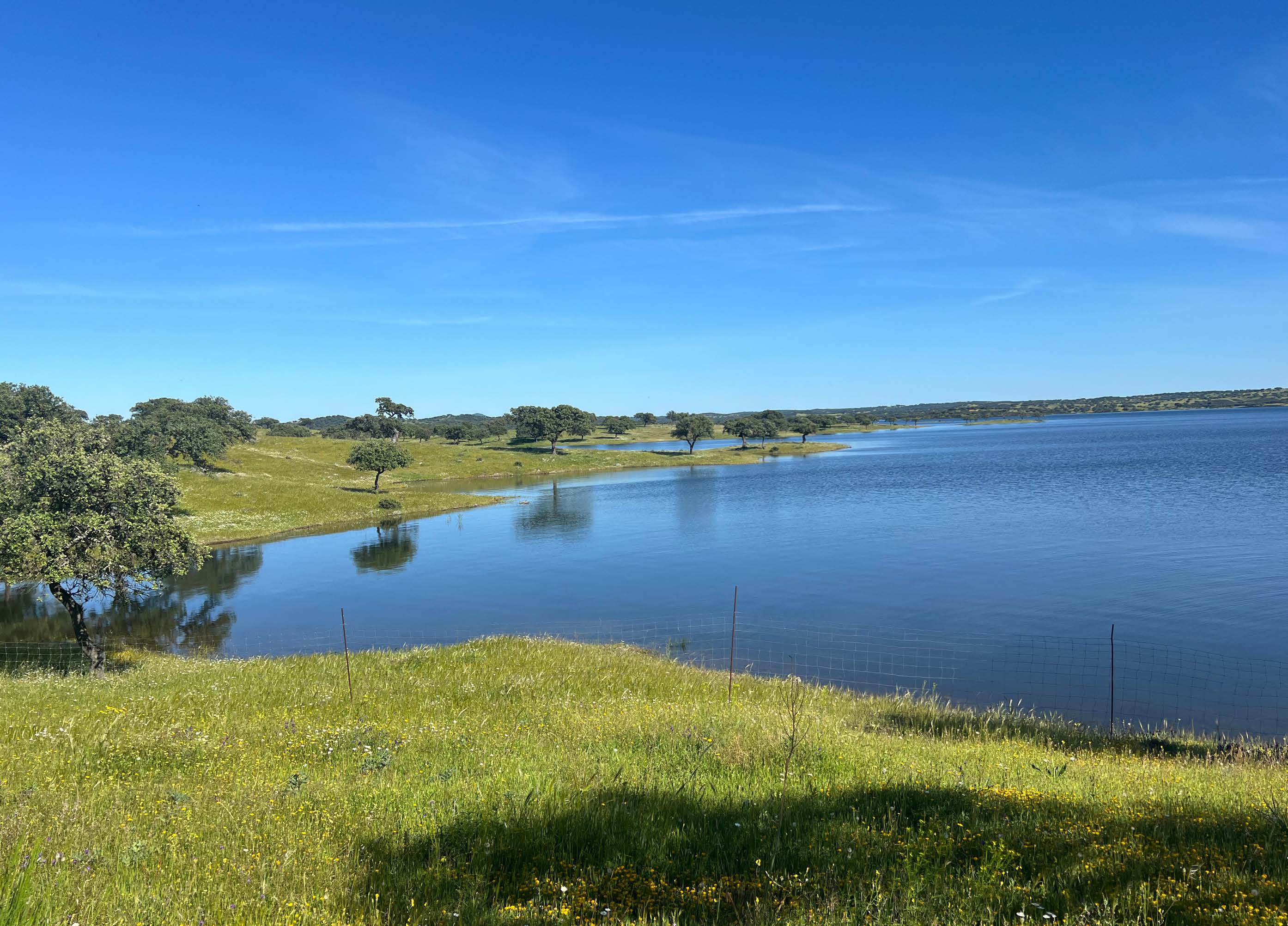 Jewels of Alqueva: Spectacular Estate with Direct Access to the Reservoir — photo 28 of 29