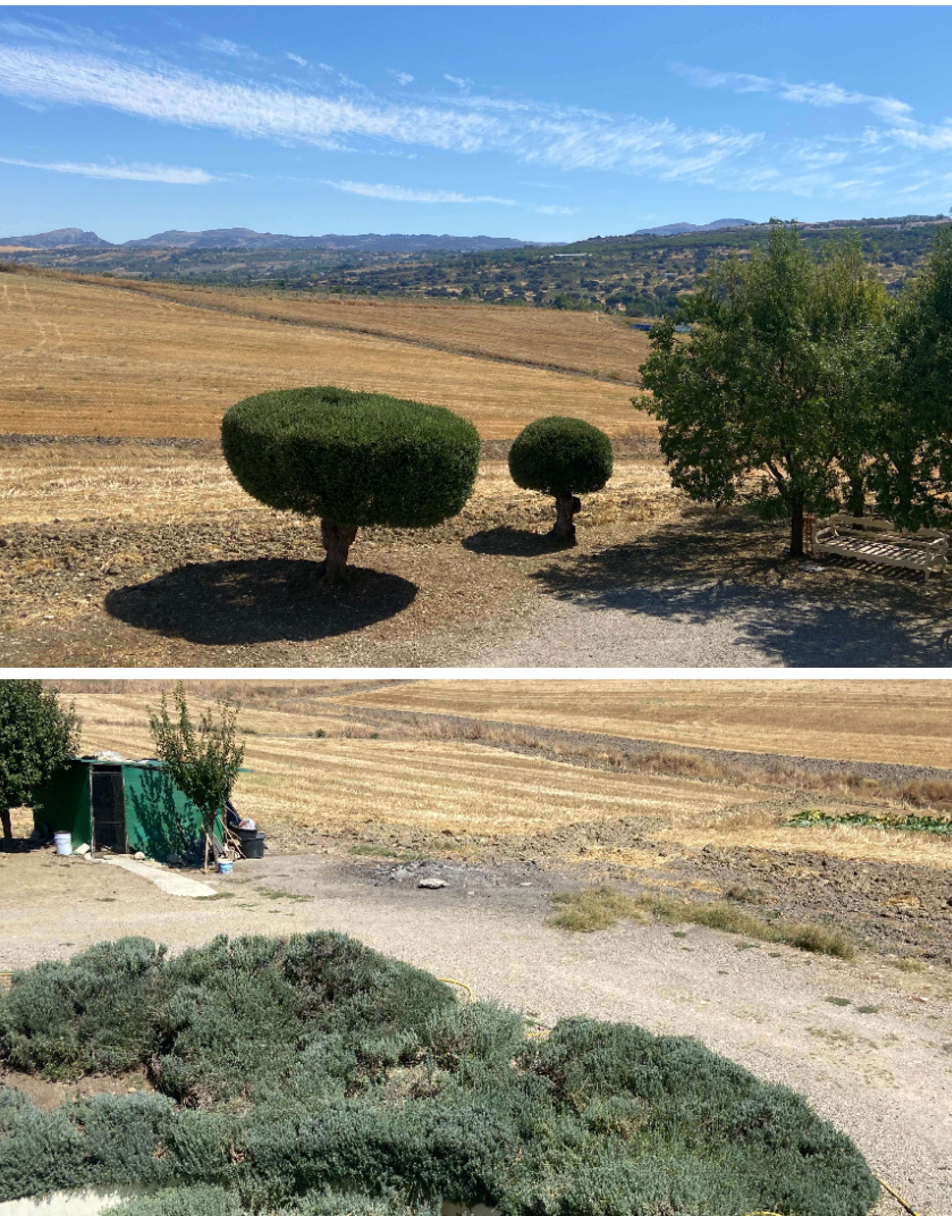Exclusive Villa with Panoramic Views over Ronda — photo 11 of 12