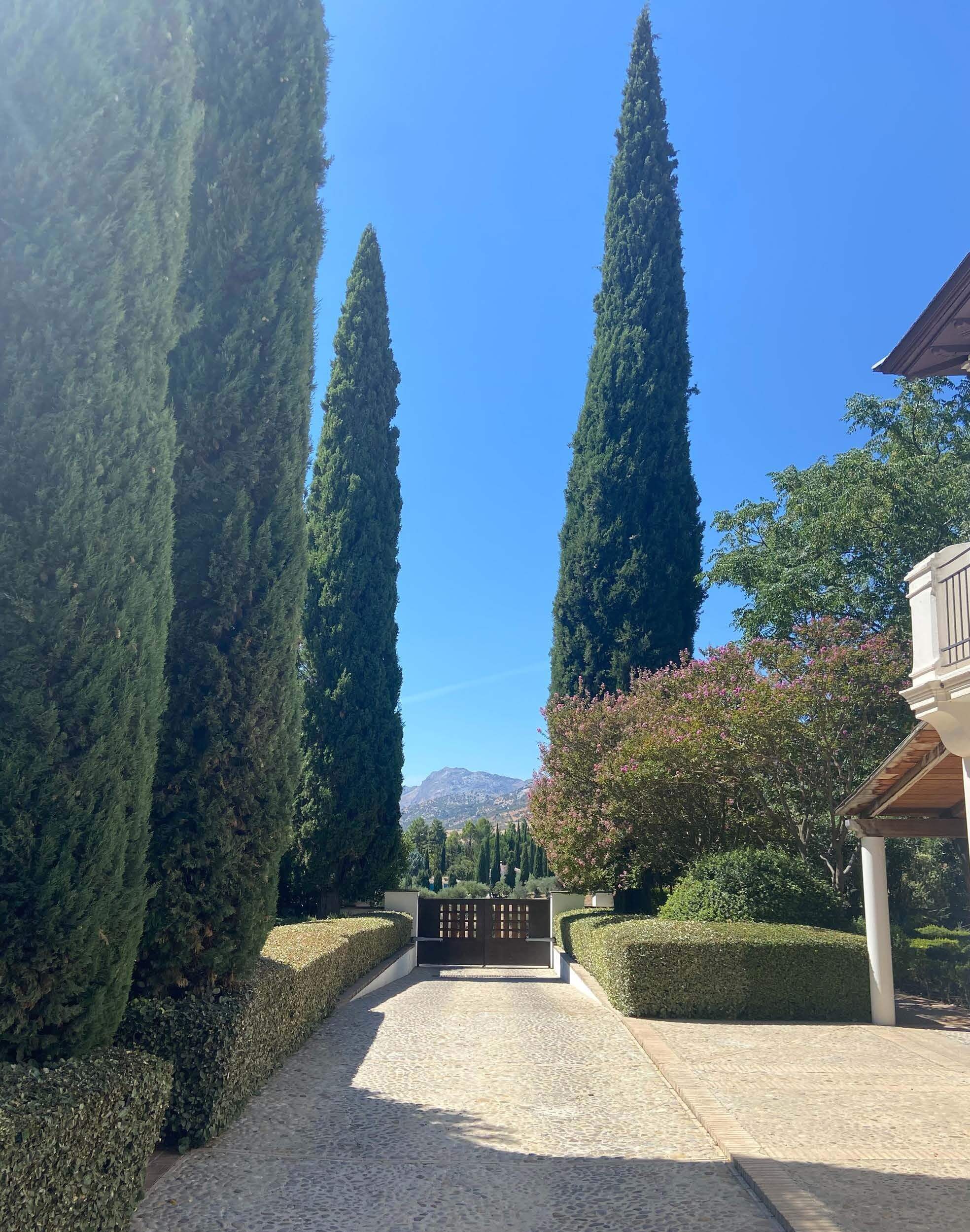 Exclusive Villa with Panoramic Views over Ronda — photo 8 of 12