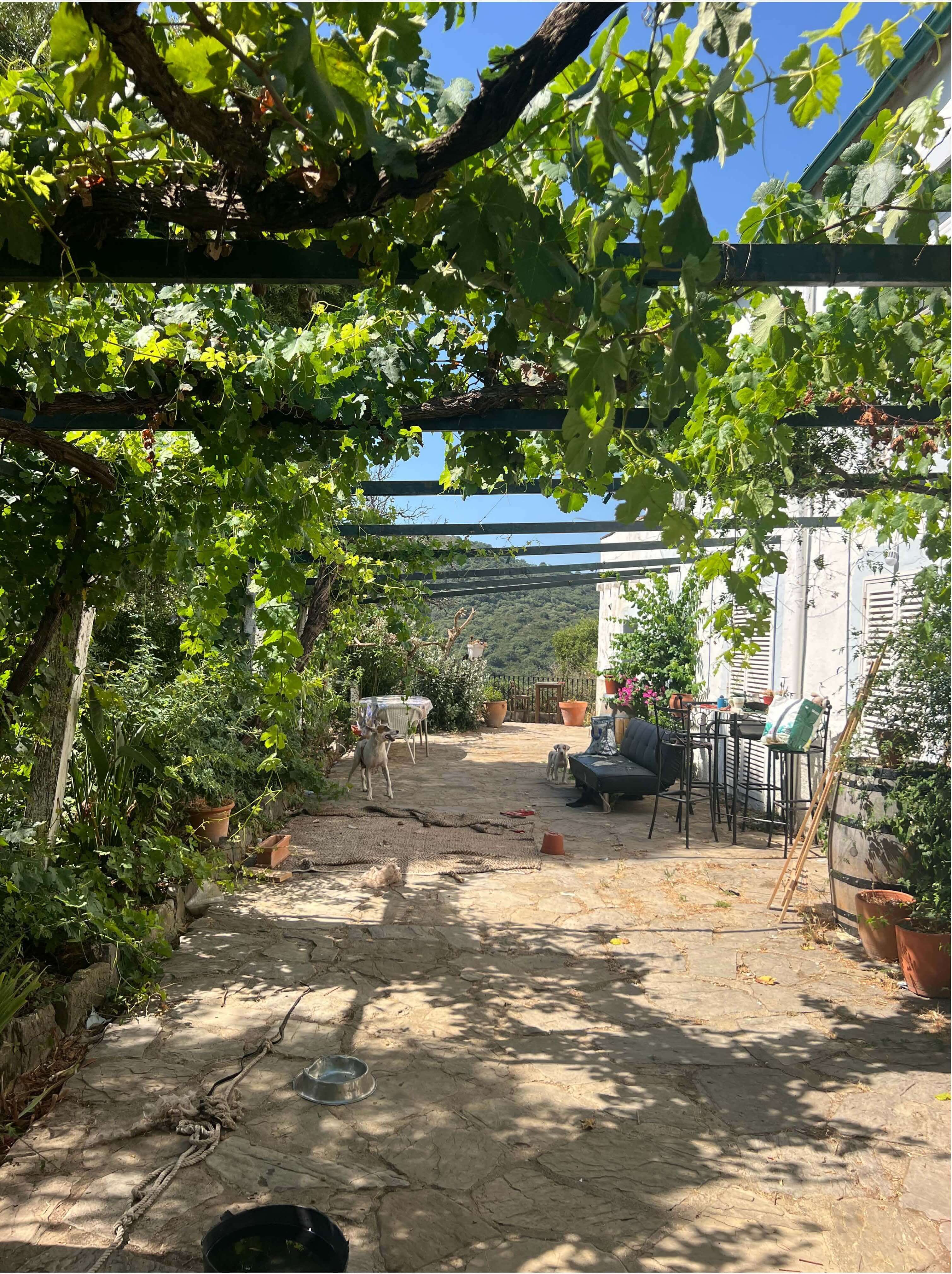 Exclusive Luxury Estate in the Heart of Campo de Gibraltar