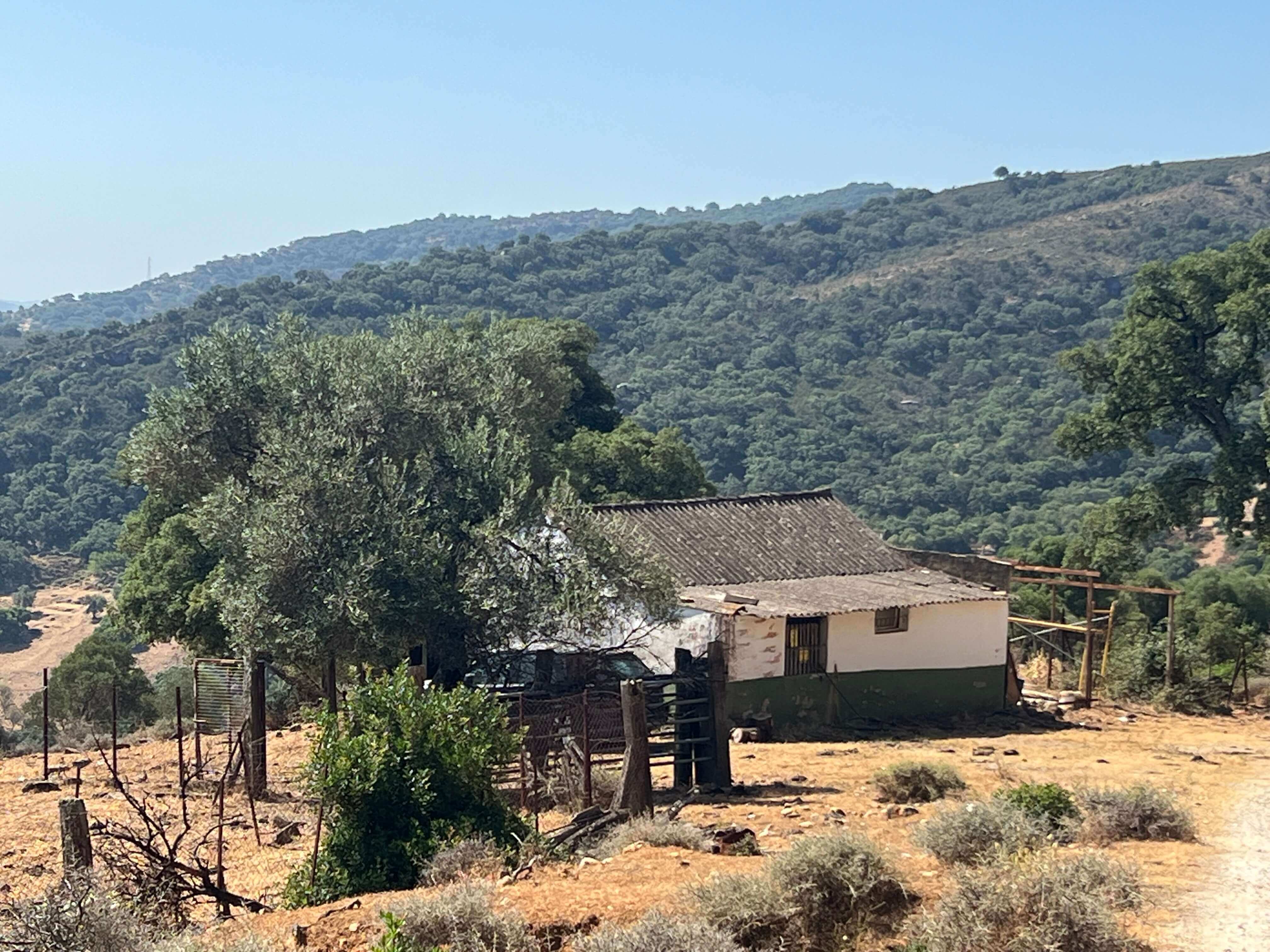 Exclusive Luxury Estate in the Heart of Campo de Gibraltar — photo 5 of 12