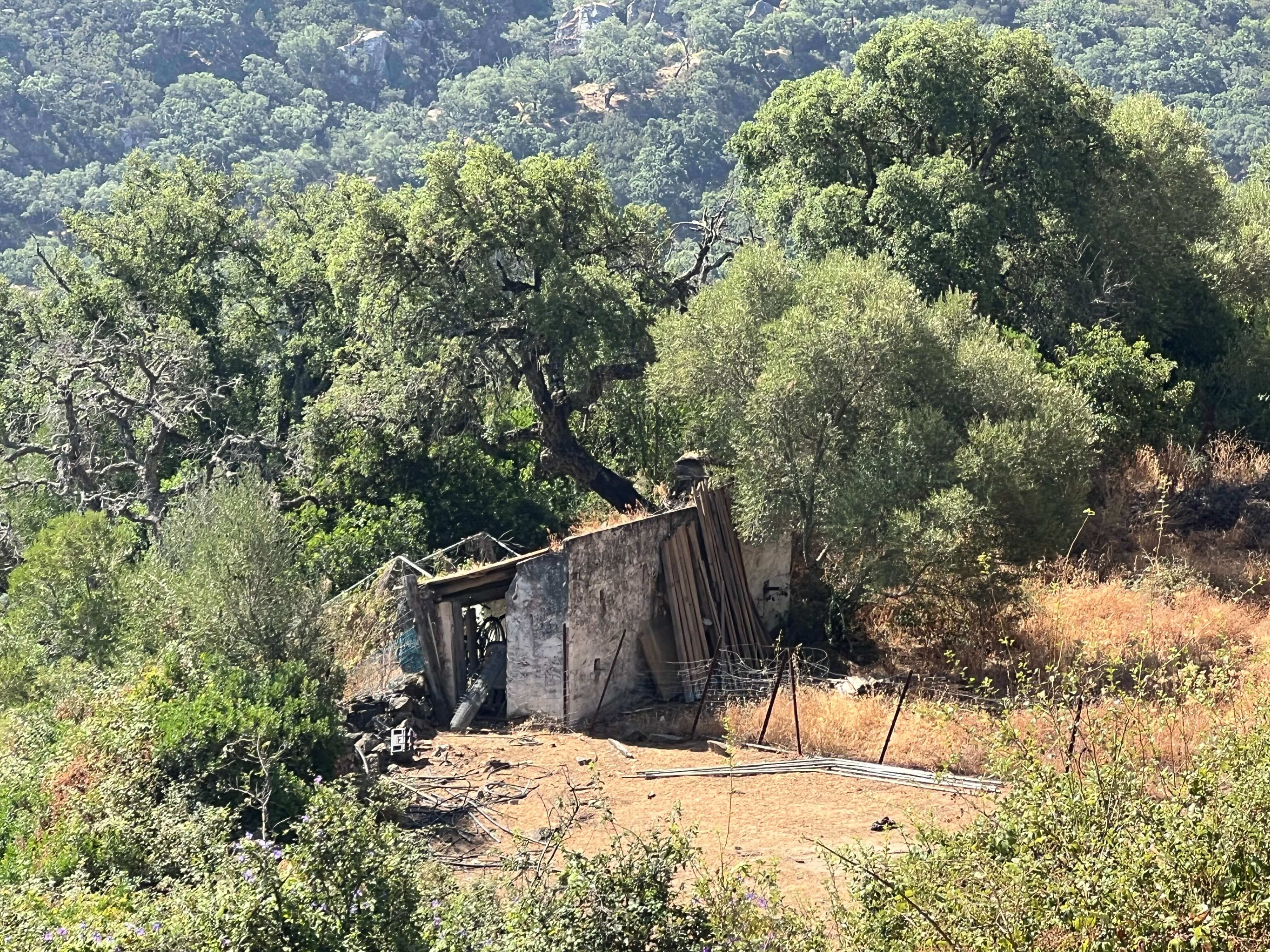 Exclusive Luxury Estate in the Heart of Campo de Gibraltar — photo 7 of 12