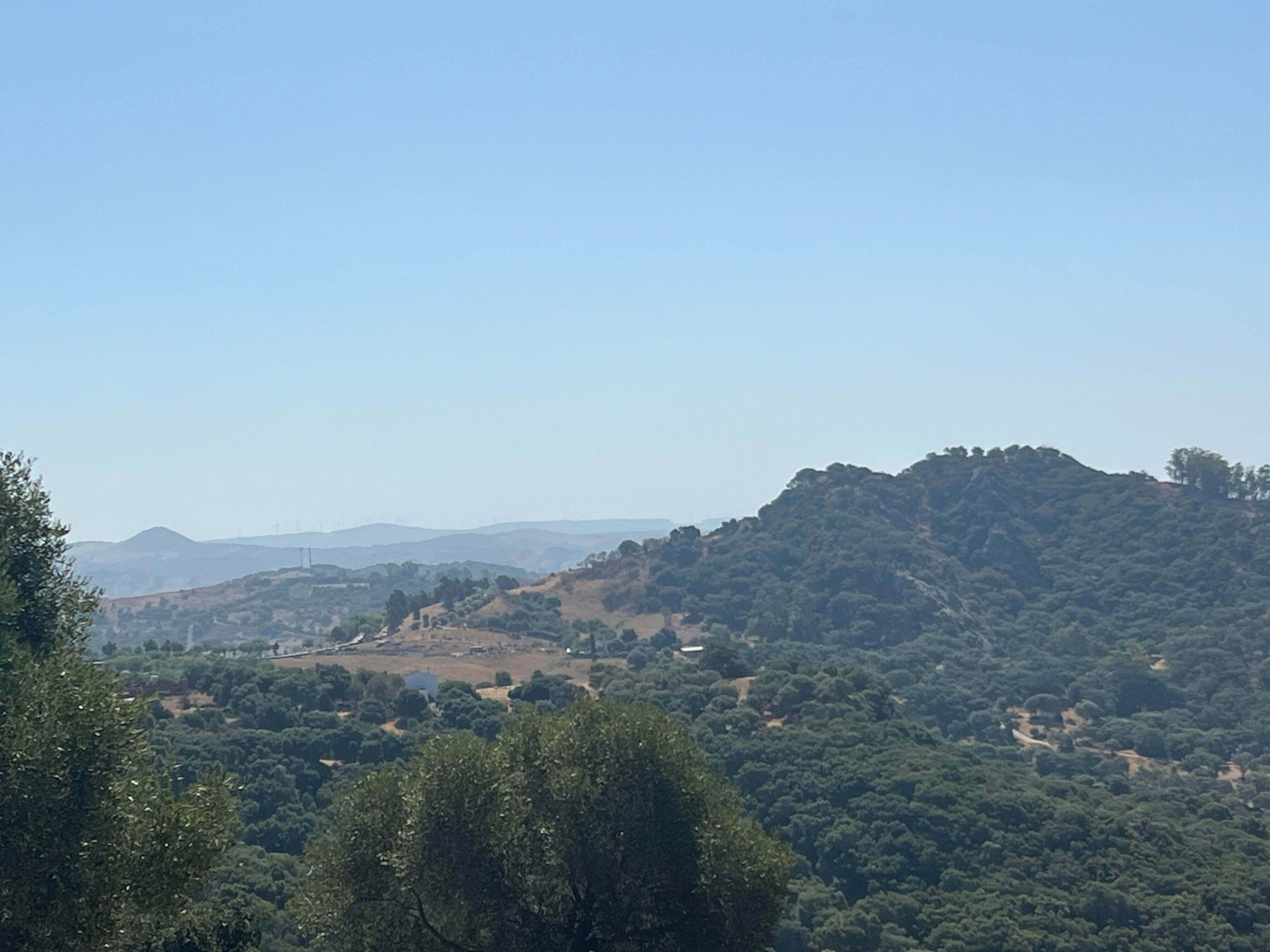 Exclusive Luxury Estate in the Heart of Campo de Gibraltar — photo 6 of 12