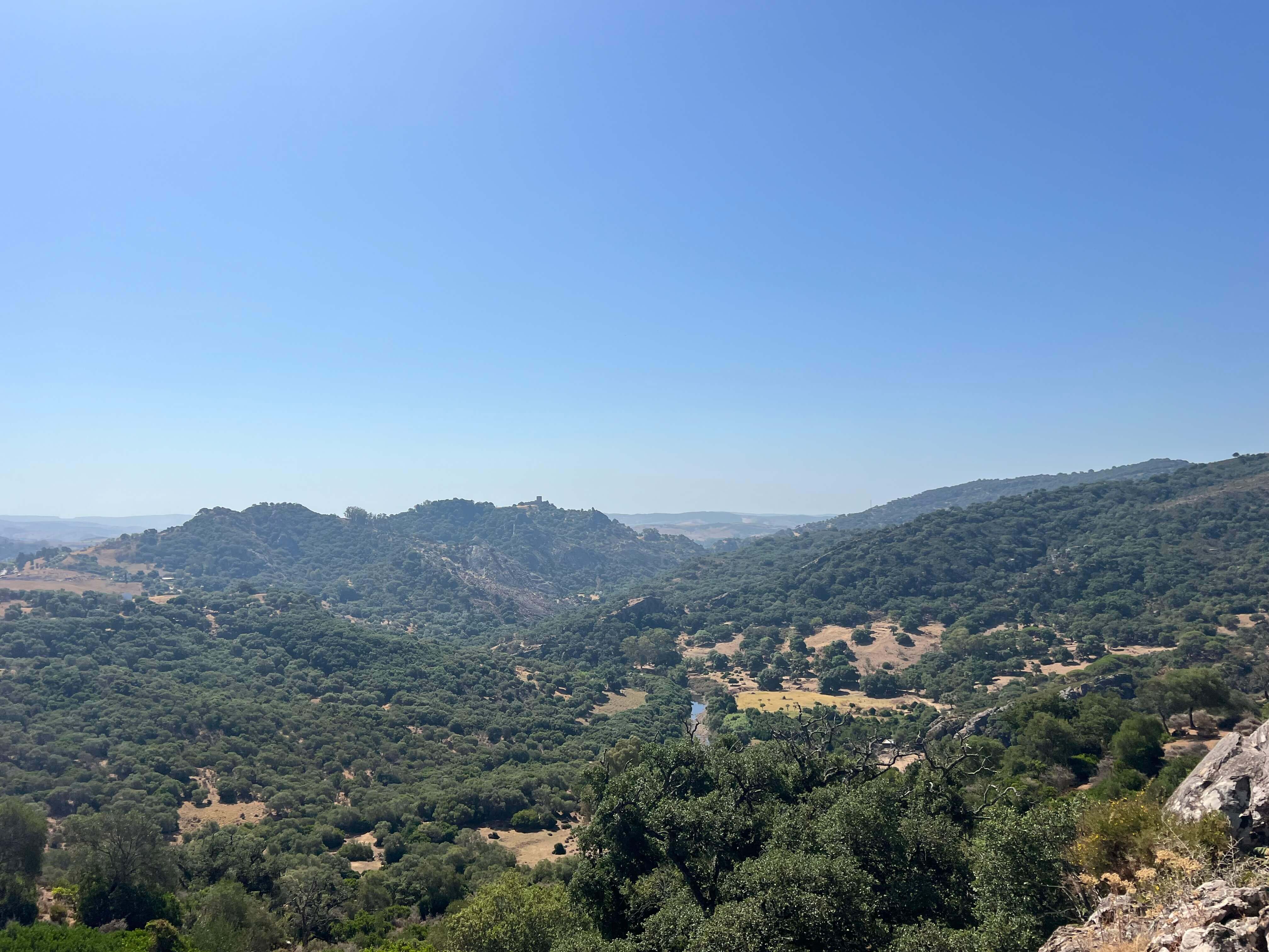 Exclusive Luxury Estate in the Heart of Campo de Gibraltar — photo 3 of 12