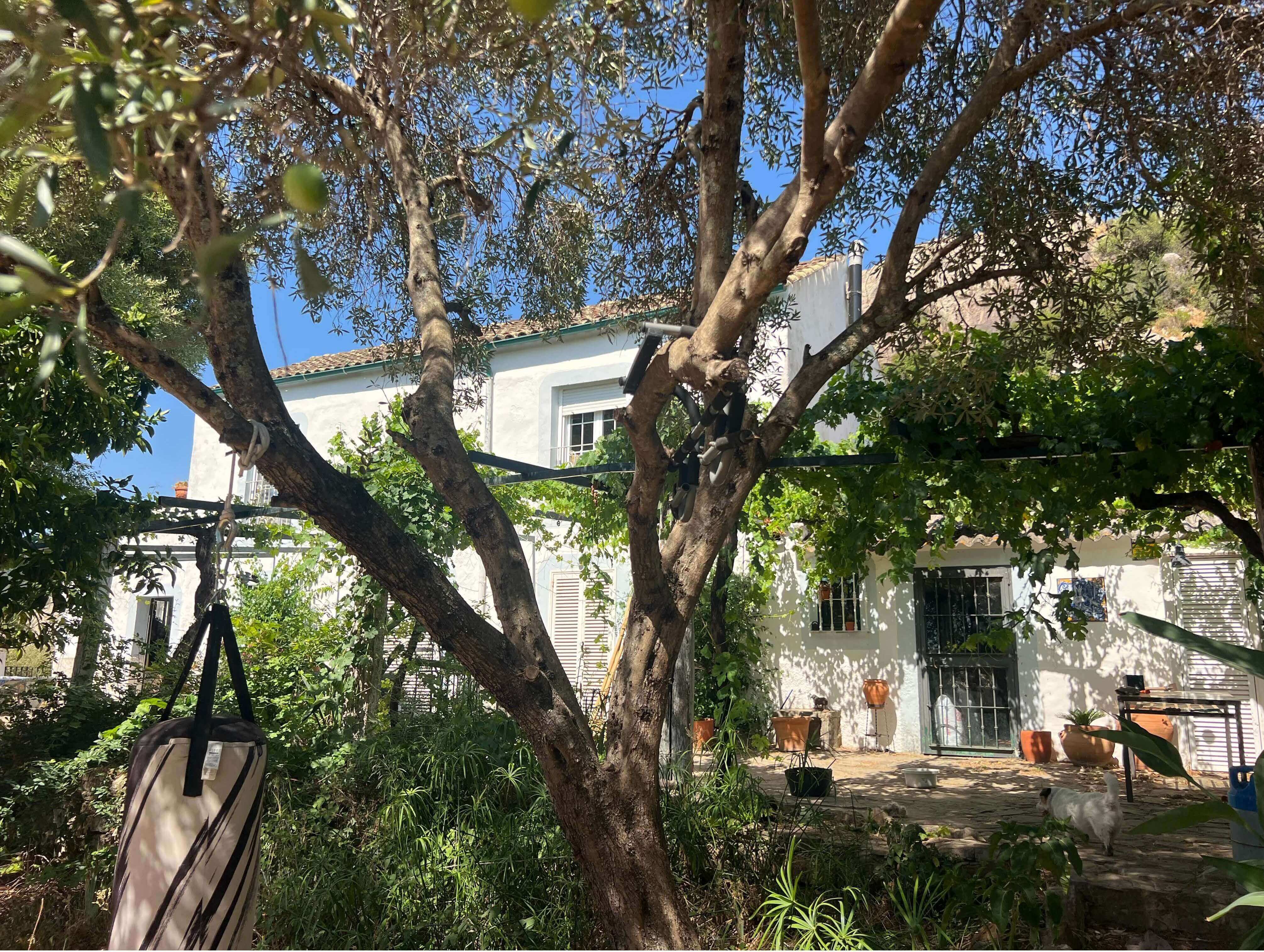 Exclusive Luxury Estate in the Heart of Campo de Gibraltar — Finca in Jimena de la Frontera, Cádiz