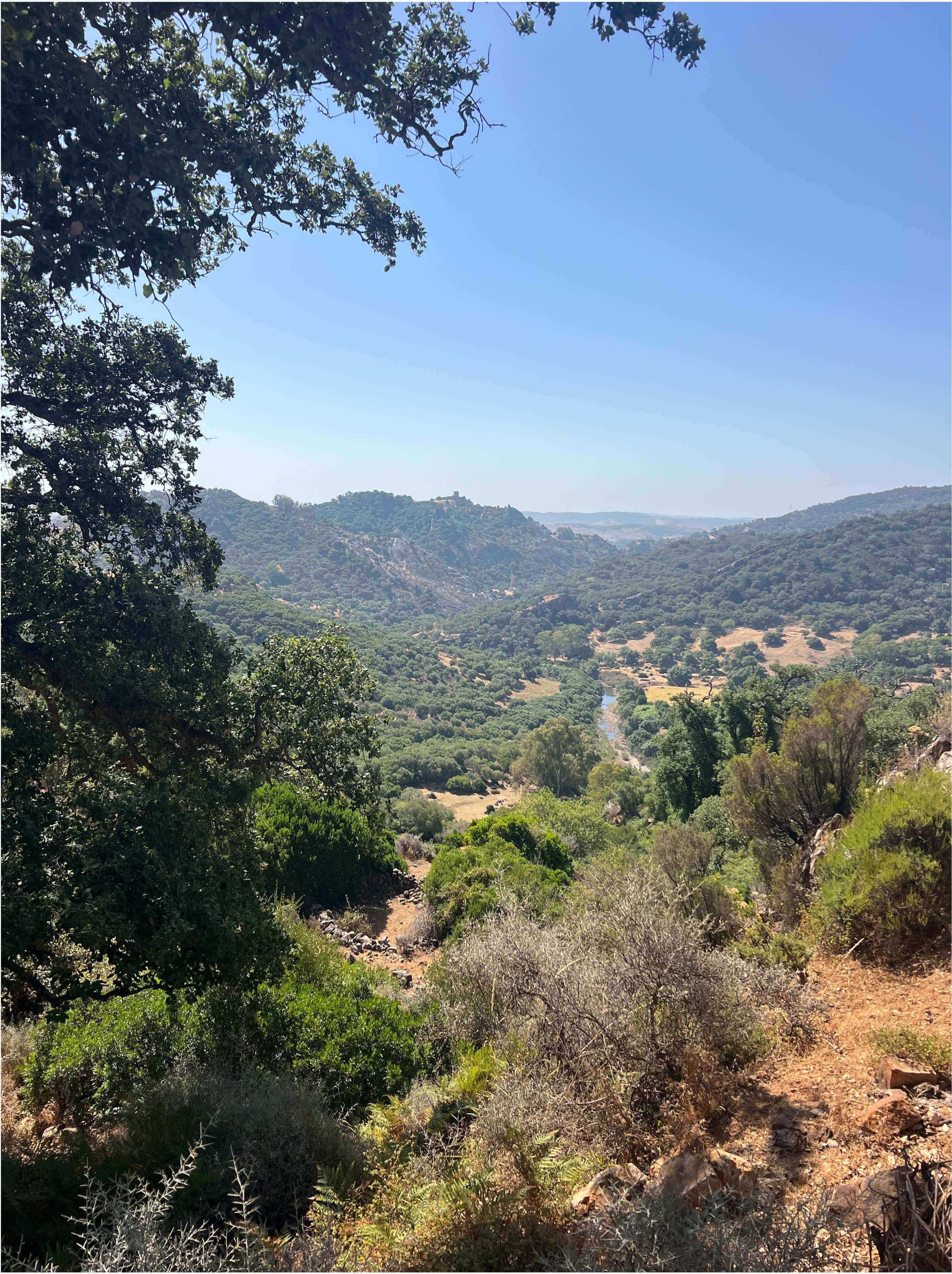 Exclusive Luxury Estate in the Heart of Campo de Gibraltar — photo 2 of 12