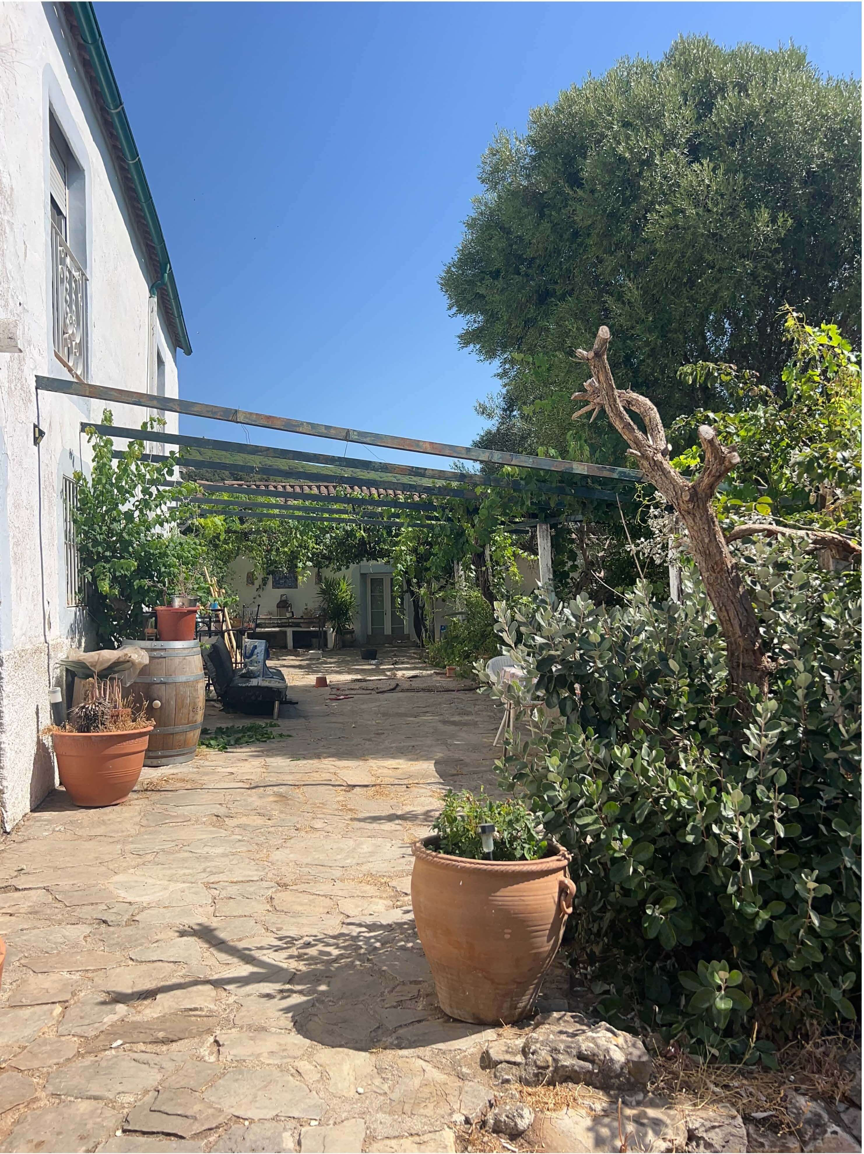 Exclusive Luxury Estate in the Heart of Campo de Gibraltar — photo 9 of 12