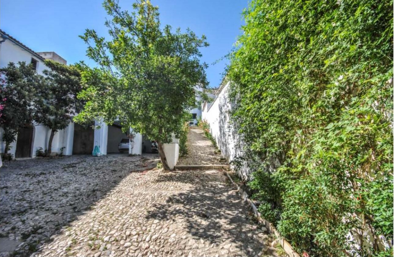 Majestic Manor House in Estepa — photo 2 of 10